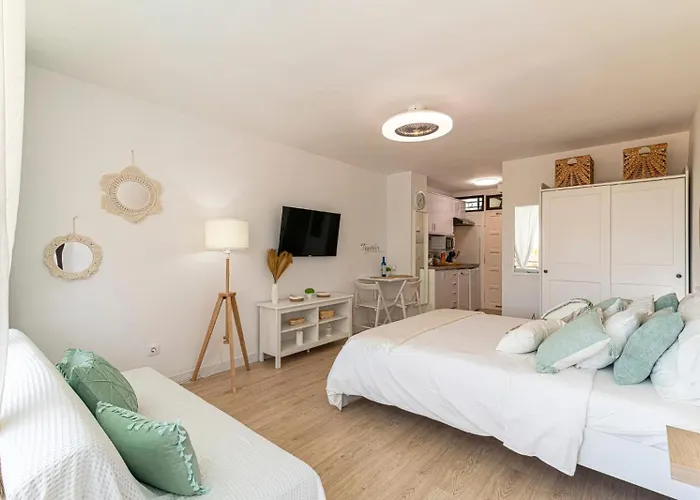 Apartamento Sea Views Estudio Olimpia Azalez In Near The *